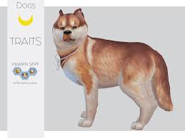 Check out our main channel for sketches, let's plays, and discussions! Ts4 Marvin Stiff The Husky My Very Pretty Husky For You Guys To Adopt Things You Will Need To Download Liam Sims Cutted Ears Sims 4 Pets Sims Pets Pets