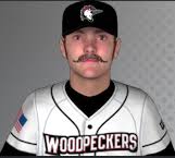 Stealofhome's Fictional Feeder Leagues and MLB Extravaganza