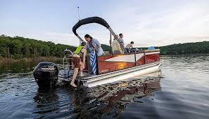 Image result for Lowe FS-10