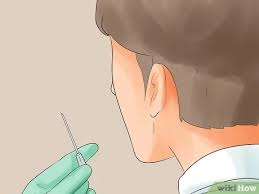 Blut Abnehmen Wikihow