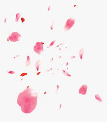 Freetoedit Ftestickers Flower Flowers Pink Rose Petals Pink Rose Petals Png Transparent Png Transparent Png Image Pngitem Download free rose png images.