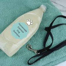 Thoroughly wet dog's fur and add shampoo. 10 Minute Oatmeal Dog Shampoo For Dry Itchy Skin House That Barks