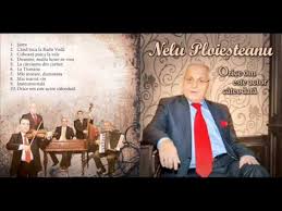 Nelu Ploiesteanu La Carciuma Din Cartier Youtube