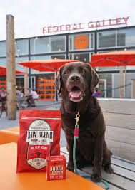 switching to stella and chewys raw blend kibble chocolate