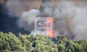 Aug 02, 2021 · όλα τα τελευταία νέα και ειδήσεις από τις κυκλάδες και τη σύρο με την εγκυρότητα και την υπογραφή του cyclades24.gr Anazwpyrwsh Ths Fwtias Sta Megara Ekkenwnetai O Oikismos Papagianneika Cnn Gr