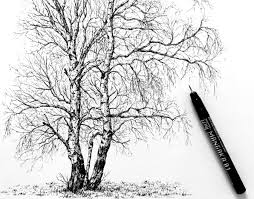 Feel free to explore, study and enjoy paintings with paintingvalley.com. How To Draw Realistic Trees With Pen Ink Ran Art Blog