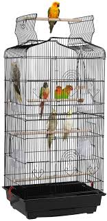 Parrot cage with a seed catcher and toys £70 or near offers (parrot not included), very clean and in very good condition. Best Bird Cages Of All Time Reviews Birds Profile