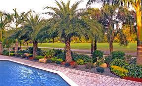 Check spelling or type a new query. Design Of South Florida Landscaping Ideas Backyard Landscape South Florida Tropical Landscape Miami Beachfront Builders