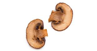 If you notice anything, consider avoiding mushrooms later in the future. Can Dogs Eat Cooked Mushrooms Quick Answer