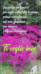 We did not find results for: Le Immagini Del Buongiorno Piu Belle Gratis E Sempre Aggiornate Buongiornoimmagini