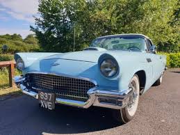 Image result for Dresden Blue 1957 Thunderbird