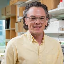 Angela Hendrixson's Instagram, Twitter & Facebook