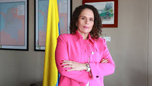 Estrategia Nacional para Abordar la Violencia Sexual en el Transporte  Público y la Movilidad Activa