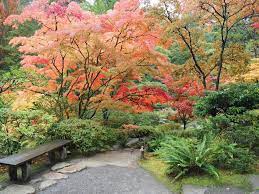 Seattle Japanese Garden Seattle Japanese Garden Japanese Garden Winter Maintenance
