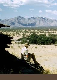 Image result for Lefebvrea grantii