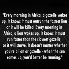 When The Sun Comes Up You Better Be Running Quote Quote Every Morning In Africa A Gazelle Wades Up It Knows It Must Outrun The Fastest Lion Or It Will How To Run Faster Word Of Advice Inspirational Quotes