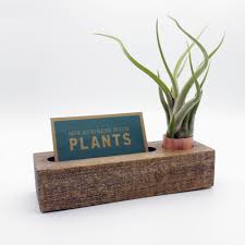 Who says that business cards have to be formal and boring? Business Card Holder Handcrafted From Hardwood And Stained In A Rich Walnut Business Card Holder Display Business Card Holders Cute Business Cards