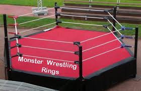 But if you're looking for extra rings for your figures and see the other things as a bonus then the set is worth it. Hexagon Wrestling Rings Wrestling Ring Room Packages Hexagon