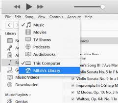 I would like to transfer my itunes library from my user window to another user (my husband) on my gateway pc, which uses window vista. Itunes 12 Copy Music Files Between Computers With Home Sharing Technipages