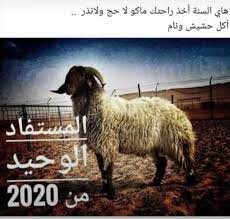 pin by abomohammad on صور وملصقات منوعة master bedroom color schemes arabic memes bedroom color schemes
