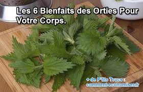 Epingle Sur Bienfaits Des Produits Naturels