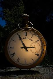 25 Stunning Images Of Michael Jackson S Abandoned Neverland Theme Park Theme Park Tourist Neverland Ranch Michael Jackson Neverland Michael Jackson