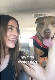 Adopt Sofy from Mercy Full Project in Tampa FL!