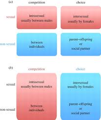 What does sexually transmitted mean? Sexual Selection Is A Form Of Social Selection Philosophical Transactions Of The Royal Society B Biological Sciences
