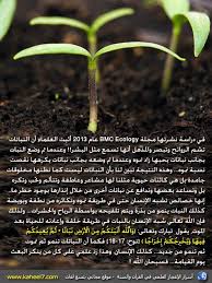صورة وآية النبات يبصر ويشم ويسمع Miracles Of Quran Quran Tafseer Herbs