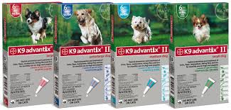 Check spelling or type a new query. Advantage Vs K9 Advantix Vs Frontline Spot On Flea Treatment Review