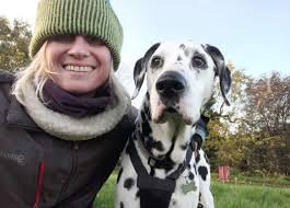 Force free dog training services available