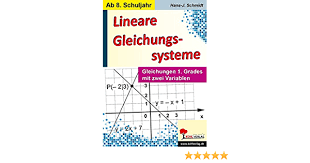 Man teilt durch die zahl vor der variablen und hat die gleichung gelöst. Lineare Gleichungssysteme Gleichungen 1 Grades Mit Zwei Variablen Amazon De Hans J Schmidt Bucher