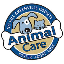 I use my professional research and reporting experience to help low income families save money and make ends meet. County Of Greenville Sc