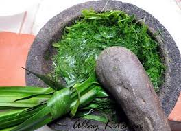 Daun pandan berasal dari tanaman pandan wangi, anggota genus screwpine asli asia tenggara. Manfaat Dan Khasiat Daun Pandan Wangi Bibitbunga Com
