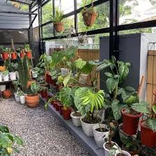Desain taman rumah kamu yang rumahnya subsidi full bangunan jangan khawatir, masih ada spot lain buat nanem yang ijoijo dan segerseger~. Pin Di Ide Taman Rumah Minimalis