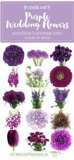 Maybe you would like to learn more about one of these? Purple Flowers The Complete Guide To Purple Wedding Flowers Purple Flower Names Flowers Tn Leading Flowers Magazine Daily Beautiful Flowers For All Occasions
