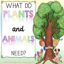 What Do Plants And Animals Need Aligns With Ngss K Ls1 1 Kindergarten Science Ngss Plants Kindergarten