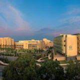 Adventhealth cancer center in orlando, florida, has a multidisciplinary mesothelioma program under the direction of thoracic surgeon dr. H Lee Moffitt Cancer Center Top Mesothelioma Treatment In Tampa