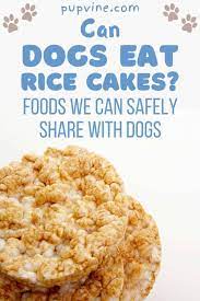 Diarrhea is caused by an osmotic problem, a gastrointestinal motility problem, a permeability problem, or a secretory problem. Can Dogs Eat Rice Cakes Foods We Can Safely Share With Dogs