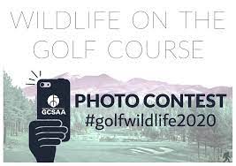 Golf course superintendents are about average in terms of happiness. Cactus And Pine Golf Course Superintendents Association Posts Facebook