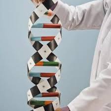 Ideas For Making A 3 D Dna Stand For High School Dna Model Project Dna Project Dna Model