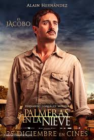 Palm trees in the snow. Life With Madi Palm Trees In The Snow Netflix Movie Review