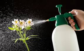 On a side note, i'm loving your new podcast. What Is Insecticidal Soap