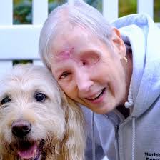 Dog adoption with meet and greet?