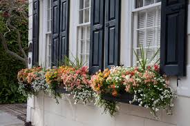 Check spelling or type a new query. Window Box Planters Southern Living