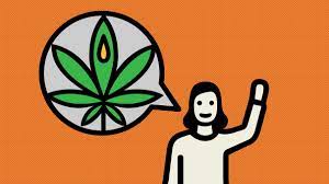 How Much Weed Should Someone Try If It's Their First Time? | Wired
