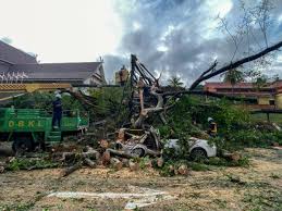 We did not find results for: Pokok Tumbang Di Jalan Travers