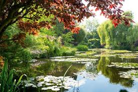 The Man Who Keeps Monet S Famed Gardens Growing Monet