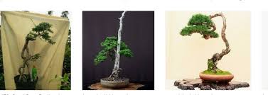 Berdasarkan sentuhannya dengan benda, gaya dibagi menjadi 2, yaitu baca juga artikel yang mungkin berhubungan : Gaya Bonsai Bunjingi Yang Mempesona Jenis Pohon Untuk Dibuat Bennisobekti Com