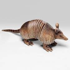 Hurn Hurn Discoveries Decorative Armadillo Figurine Ornament Large Armadillo Hurn And Hurn House Ornaments